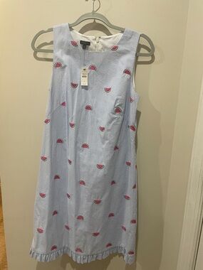 Talbots Light Blue Striped Sleeveless Dress with Pink Watermelon Embroidery